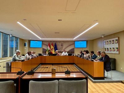 Comparecencia de Felipe de la Fuente