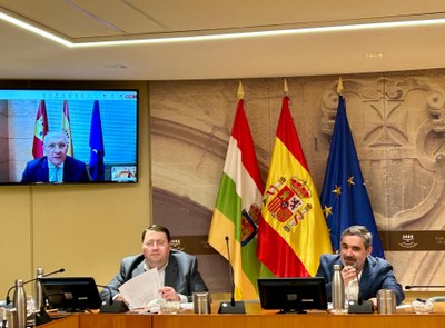 Comparecencia de Jesús Alique