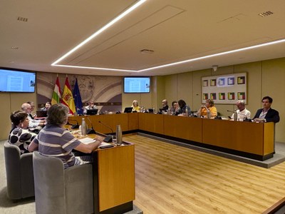 Comparecencia de Carlos Sánchez Mato