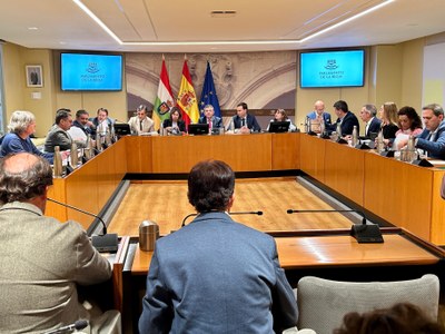 Comparecencia de Daniel Osés, consejero de Política Local, Infraestructuras y Lucha contra la Despoblación