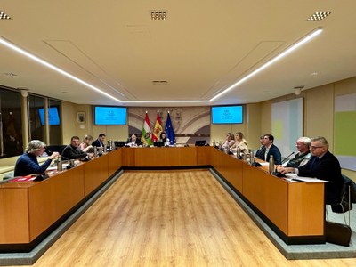 Reunión de la Comisión Institucional, de Desarrollo Estatutario y Régimen de Administración Pública