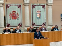 Pleno del Parlamento