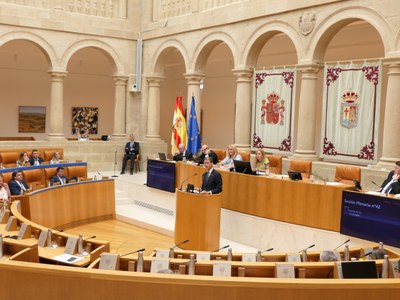 Pleno del Parlamento de La Rioja