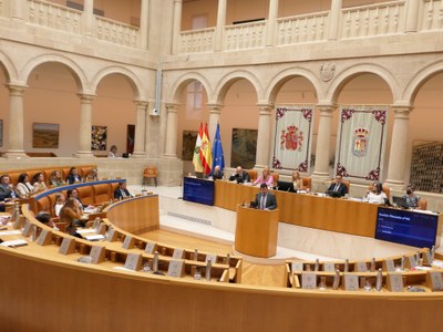 Pleno del Parlamento