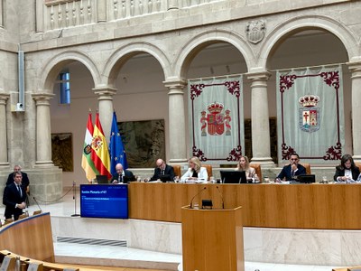 Pleno del Parlamento