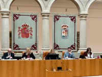 Inicio de la sesión plenaria