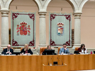 Inicio de la sesión plenaria