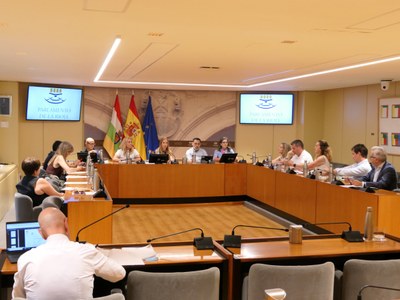 Reunión de la Junta de Portavoces