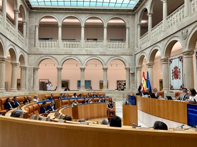 Sesión 46º del Pleno del Parlamento