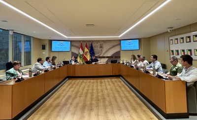 Reunión de la Comisión Institucional, de Desarrollo Estatutario y de Régimen de la Administración Pública