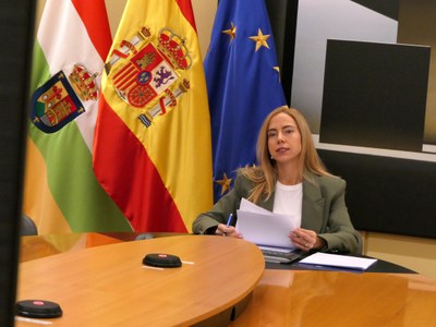 Fernández Cornago participa por videoconferencia en una sesión de trabajo de la CALRE