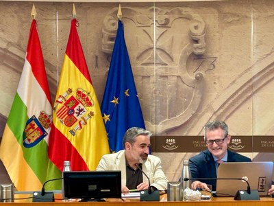 Comparecencia de José Ignacio Ruiz de Palacios