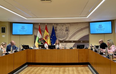 Comisión de Cultura, Turismo, Deporte y Juventud