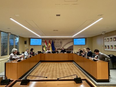 Comparecencia de Santiago Vivanco