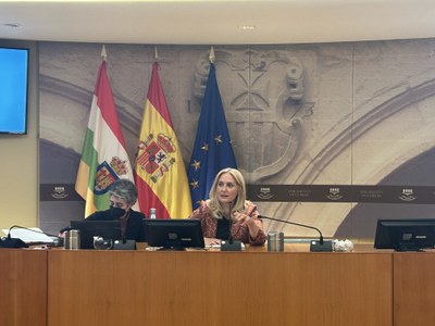 Comisión de Estudio sobre la Fundación de la Ciudad del Envase y el Embalaje
