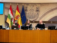 La Comisión para analizar la situación de la Cultura en La Rioja reanuda sus trabajos