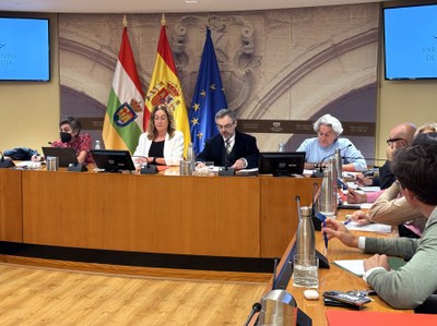 Comisión que analiza el sector de la Cultura