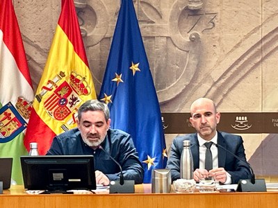 Comparecencia de David San Martín Segura