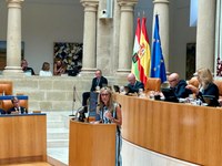 La intervención de los portavoces de los grupos parlamentarios inicia la segunda jornada del Debate sobre el Estado de la Región