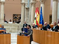 El portavoz del Grupo Parlamentario Socialista, Javier García, durante su intervención