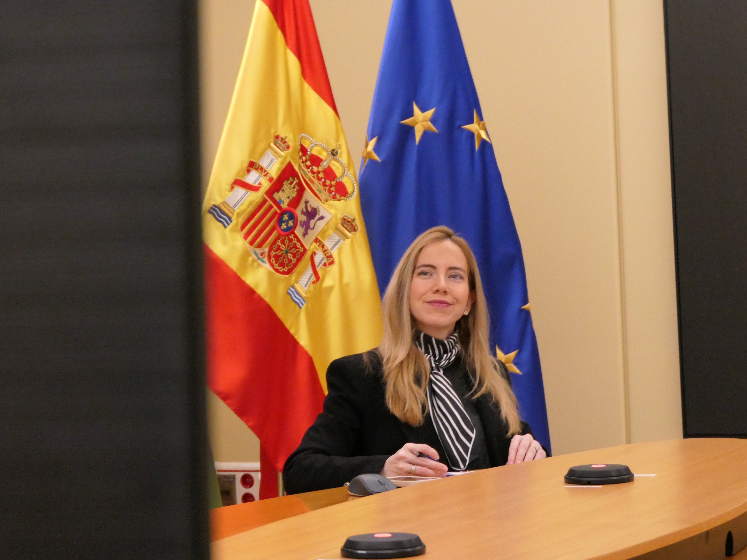 Fernández Cornago ha participado por videoconferencia en la asamblea plenaria de la CALRE