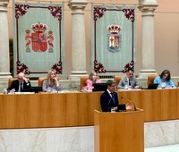 Pleno del Parlamento