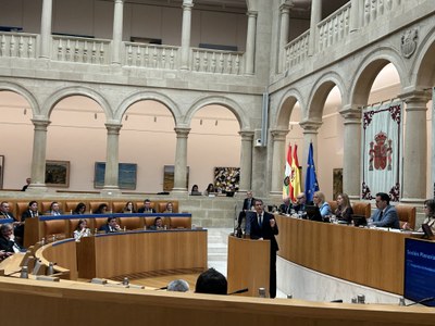Sesión de Pleno celebrada hoy