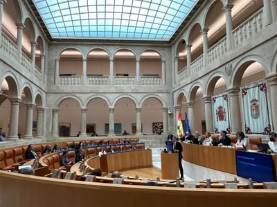 Pleno 8 de mayo de 2025