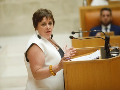 Henar Moreno, portavoz del Grupo Parlamentario Podemos-IU