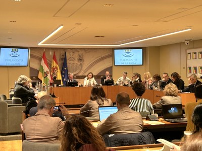 Comparecencia de María Martín