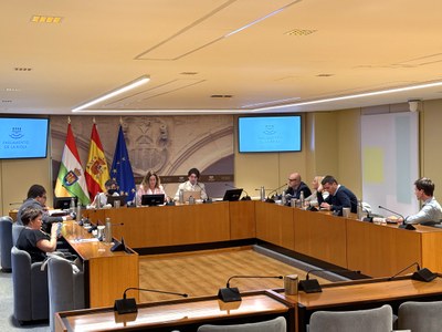 Intervención de Mario Cornago, de Burcor Producciones