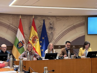 Junta de Portavoces