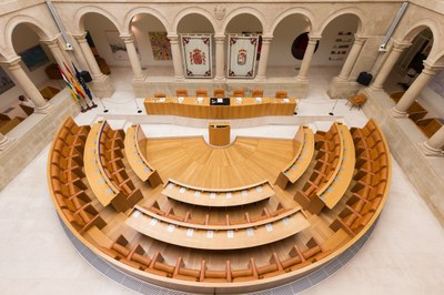 Vista del Hemiciclo regional