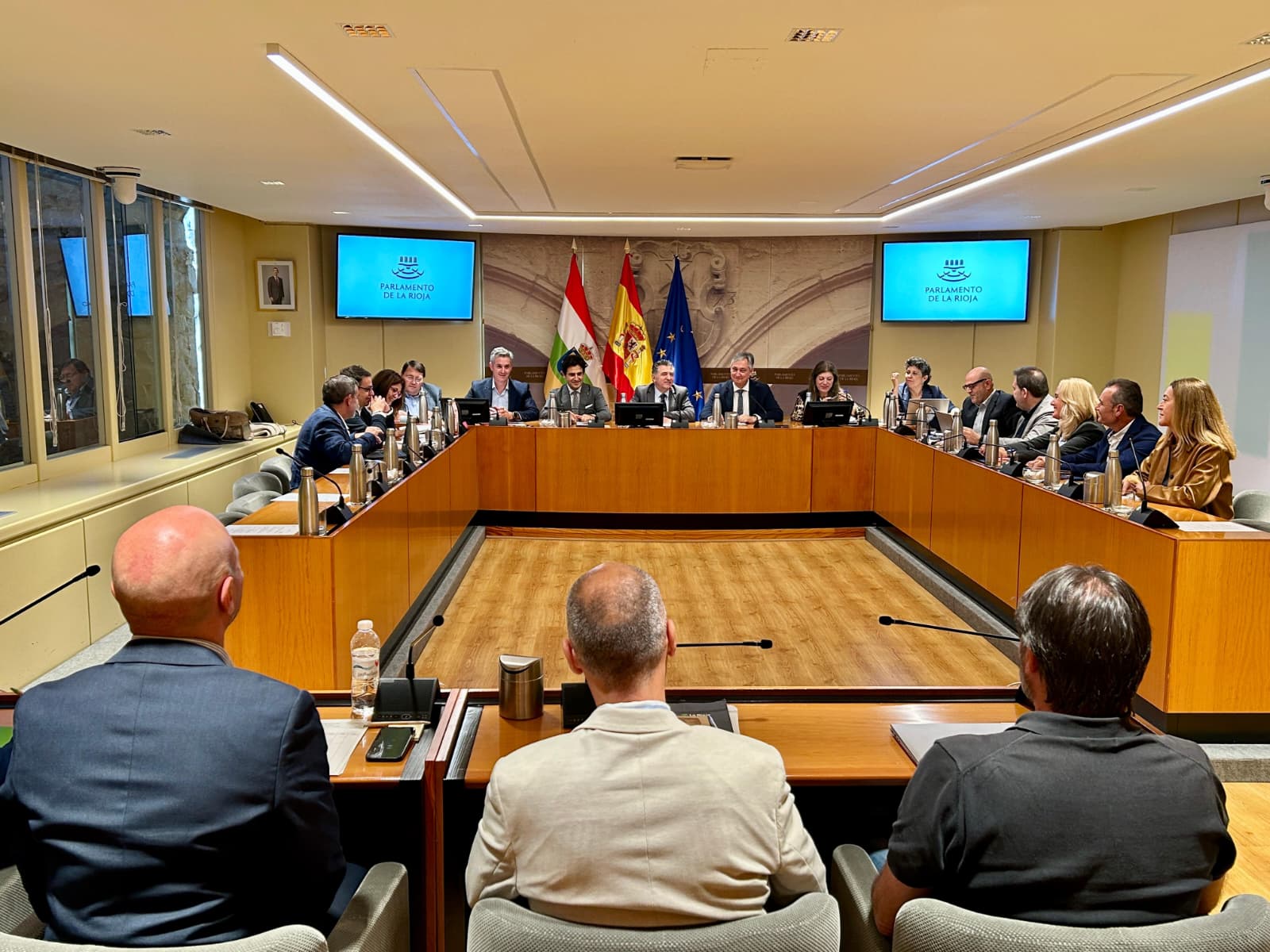 Comparecencia del consejero de Cultura, Turismo, Juventud y Deporte