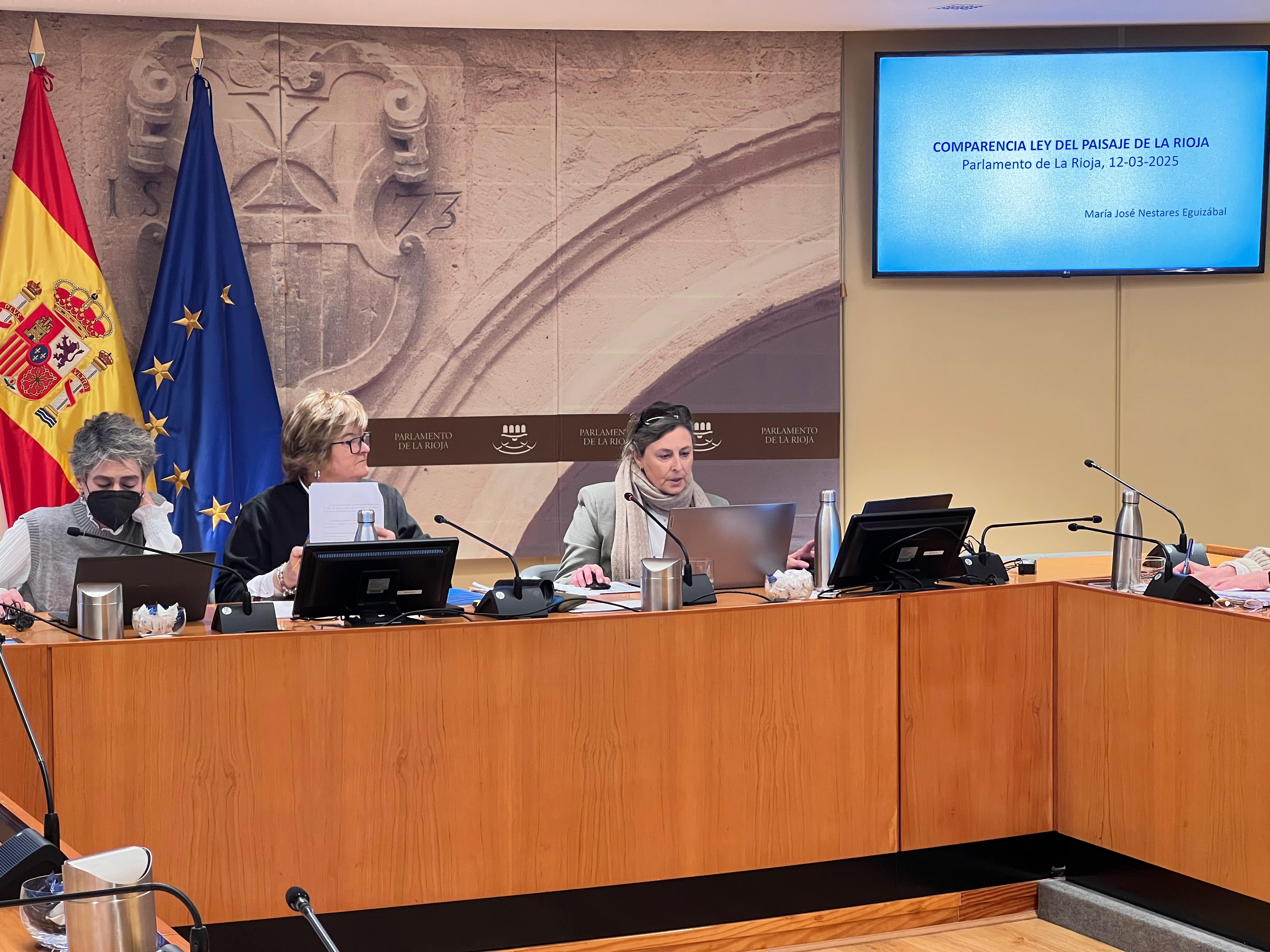 Comparecencia de María José Nestares Eguizábal