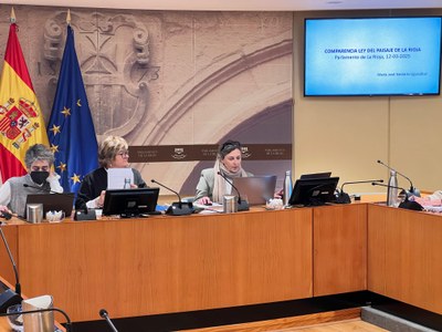 Comparecencia de María José Nestares Eguizábal