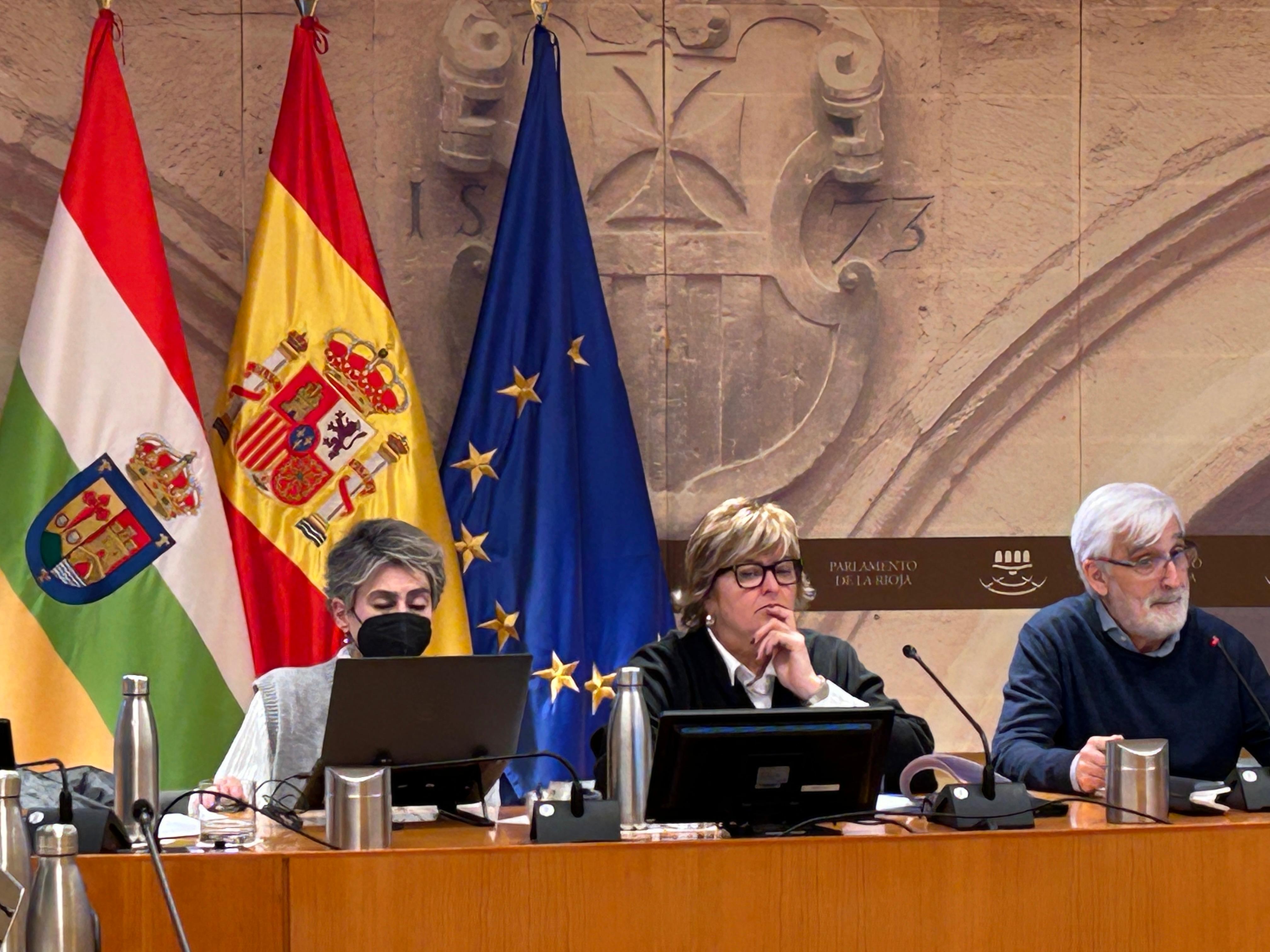 Comparecencia de José Arnáez Vadillo