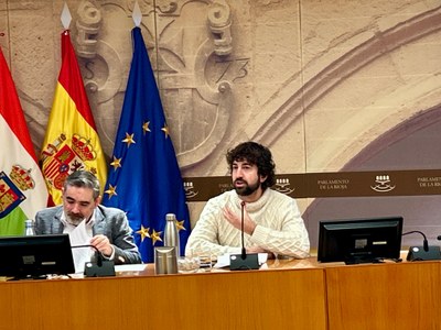 Comparecencia de Diego Ochoa de Juan