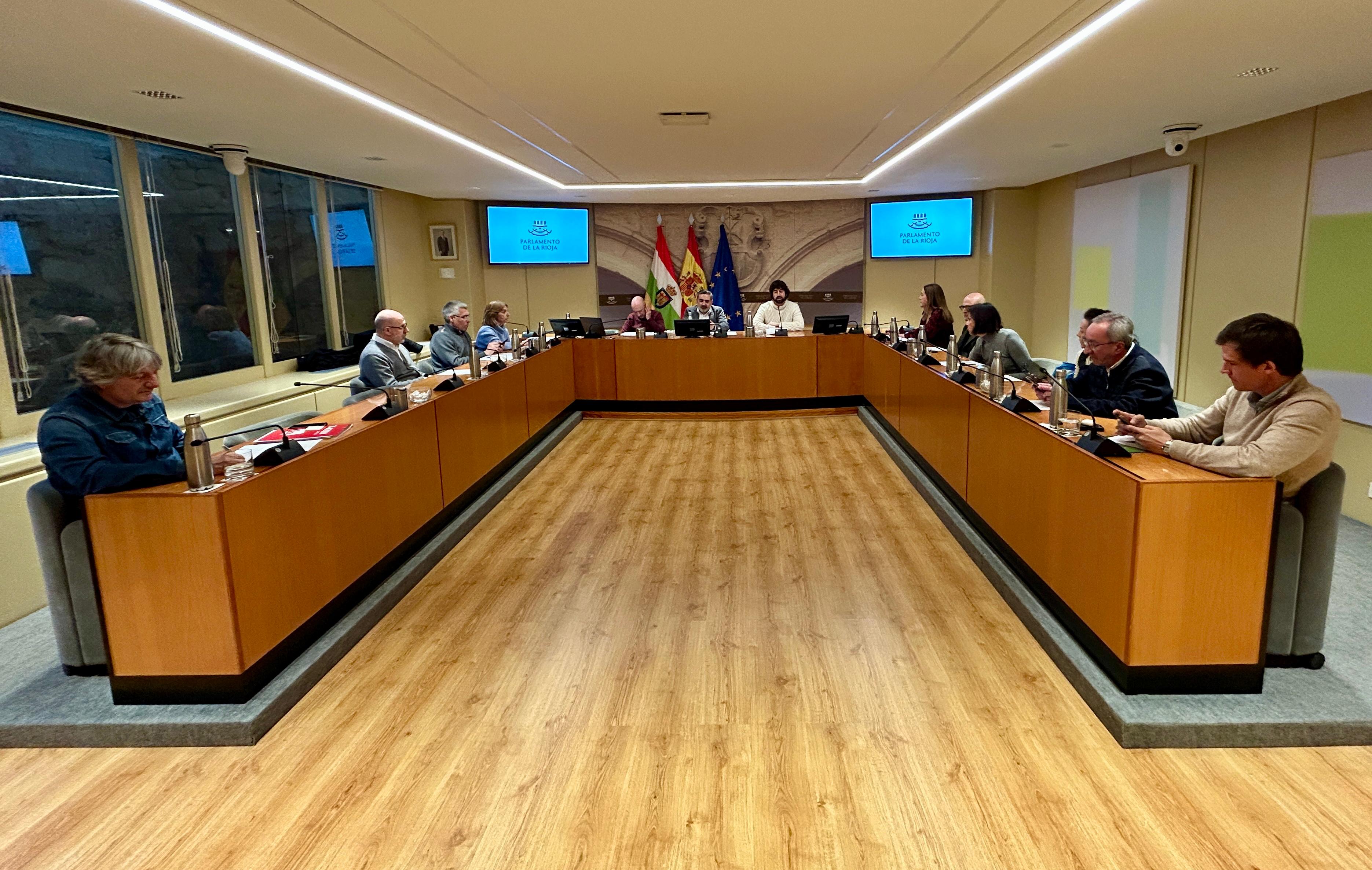 Comparecencia de Diego Ochoa de Juan