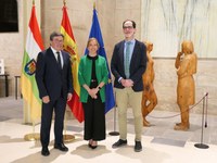 Recepción de la memoria del Consejo Consultivo relativa al pasado ejercicio