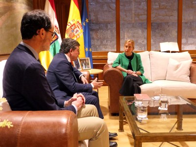 Recepción de la memoria del Consejo Consultivo