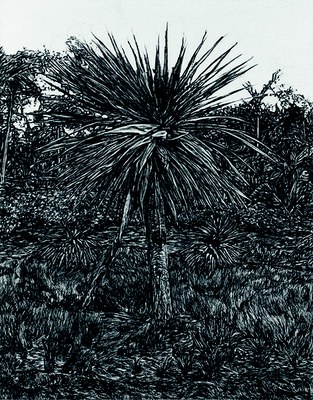 Brother & Sister # 1