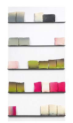 Cuaderno: El pasaje (Página 2) Guillermo Mora I 2016 I 178 x 100 cm I 22 pastillas de cola de conejo policromadas conacrílica sobre estantes de acero